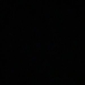 Meet your Posher, Malaya🌚⚡️